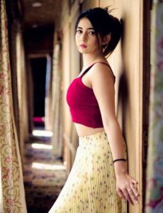 escort service in Khanna